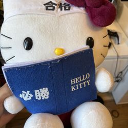 Hello Kitty Plushy Rare
