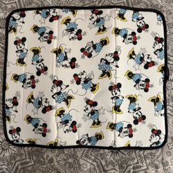 Mickey Mouse Dish Drying May