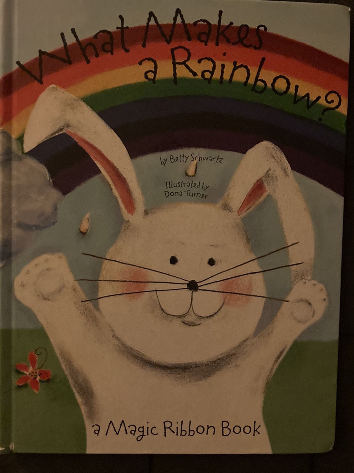 What Makes A Rainbow Book