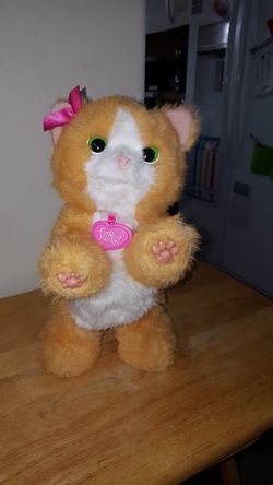 Real furry friend Daisy