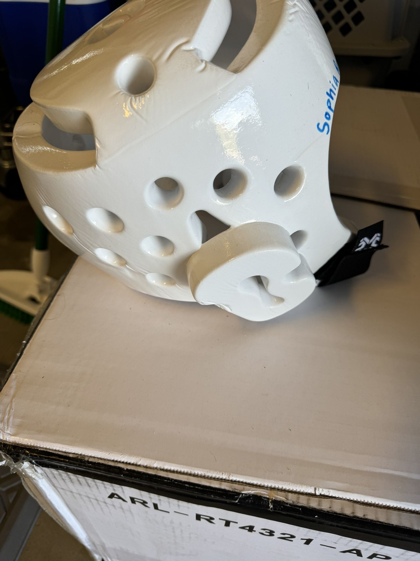 Tae Kwon Do Sparring Gear Victory