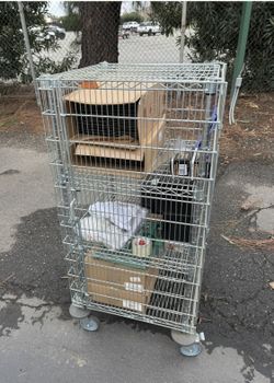 Commercial locking cage on casters
