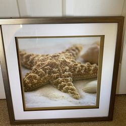 Seastart Frame