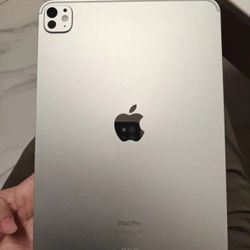 Apple iPad pro 512G