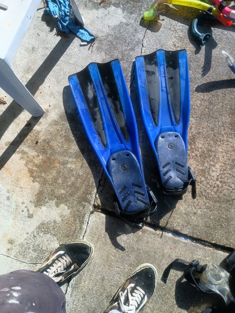 Flippers