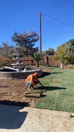 New Sod And Sprinklers