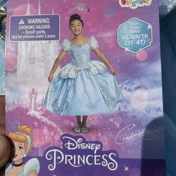 Cinderella Princess Dress Costume - Halloween