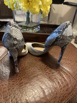 Women Shoes Steve Madden 