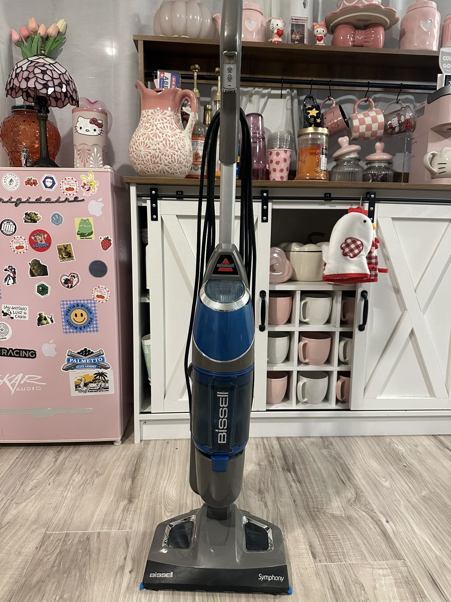 Steam Mop