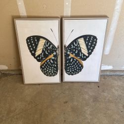 Butterfly Canvas