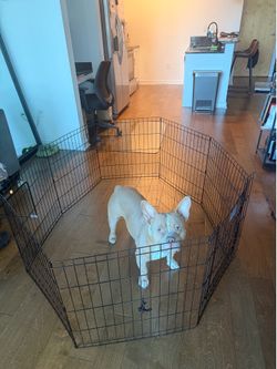 MidWest Black E-Coat 8-Panel Dog Exercise Pen w/ Door (24” x 24”)