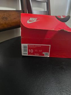 Nike dunks ice gray