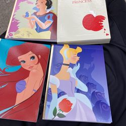 New The Art Of The Disney Princess. Three New Disney Notebooks With Case. 