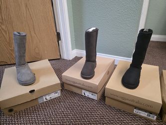 Brand New, Original Uggs