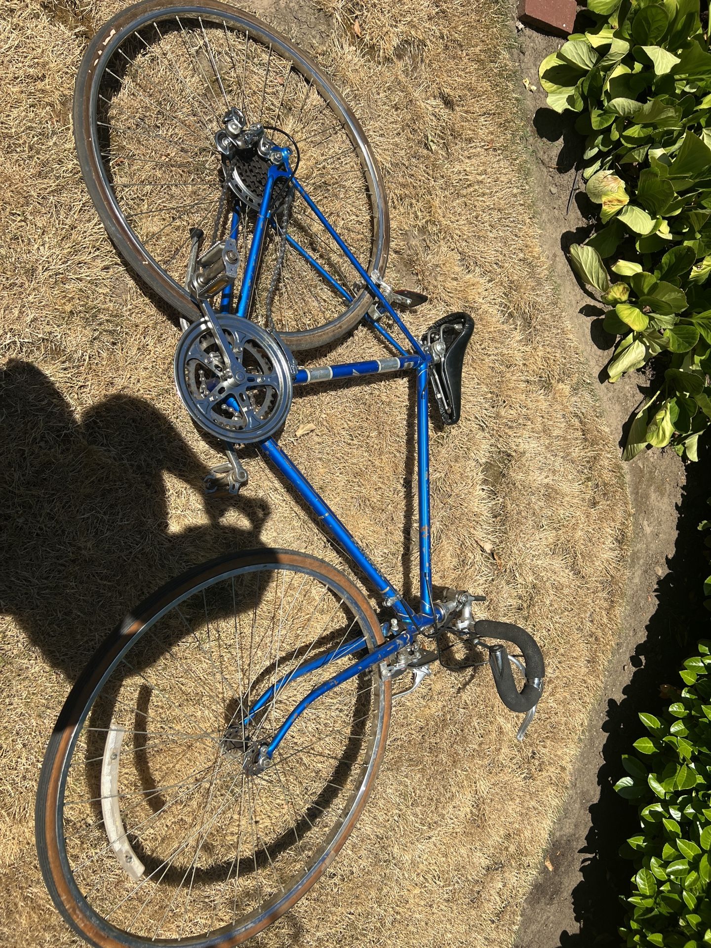 Vintage Rampar Bike Original