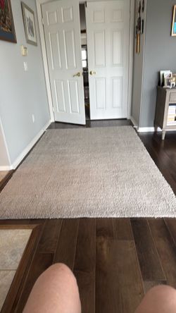 Light Gray Area Rug