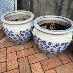 Porcelain Pots