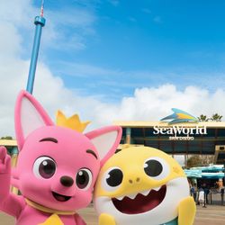 SeaWorld Or Sesame Place SD Tickets + Parking