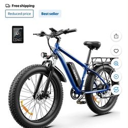 Electric Bike 