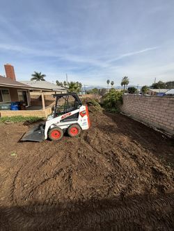 Lawn Removal 