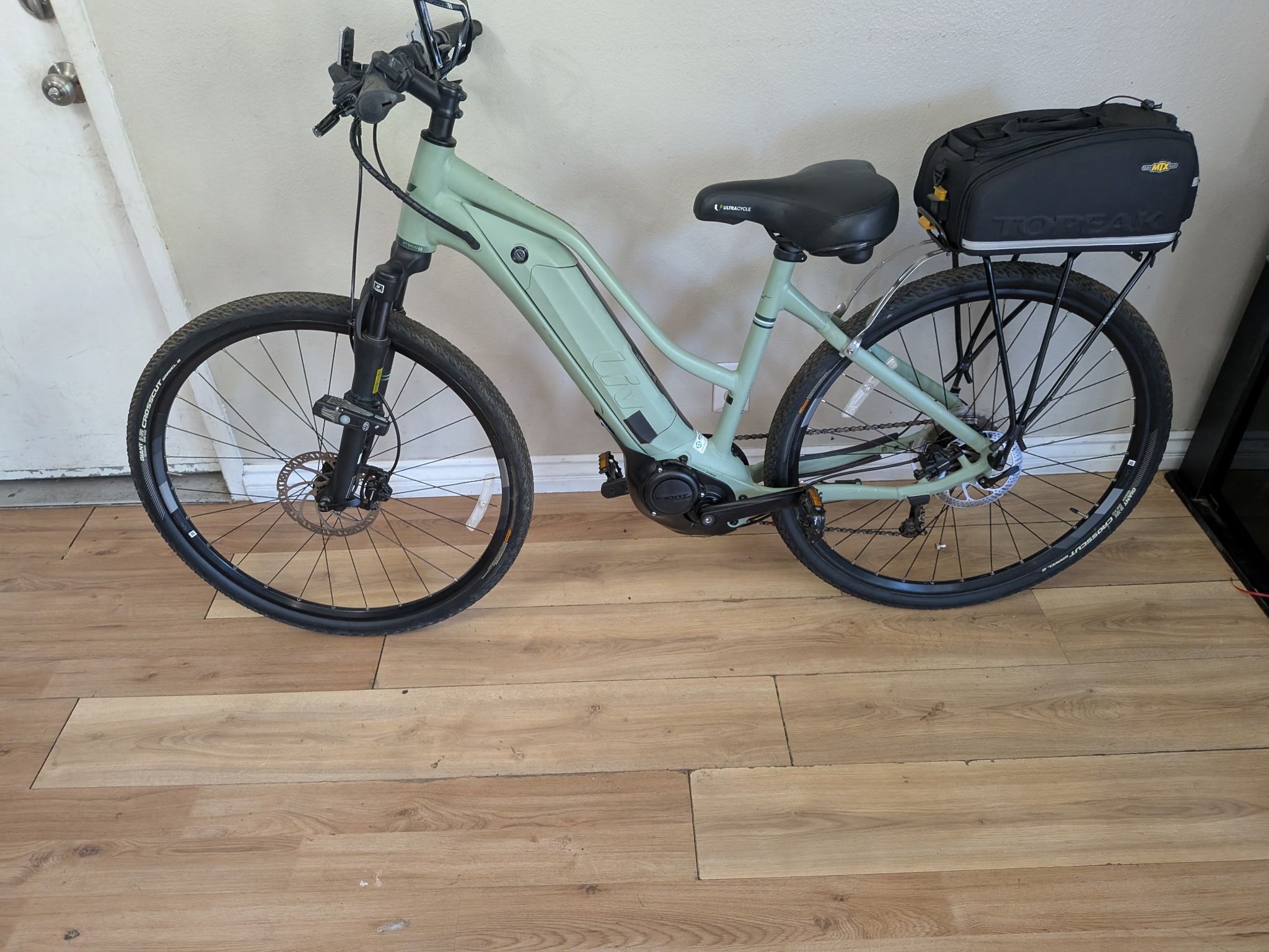 Giant Electric Bike