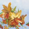 Occasions Remembered