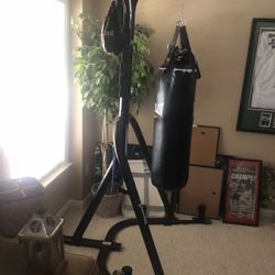 Punching Bags and Stand