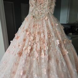 Prom/Quince Dress