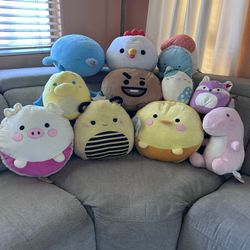 Squishy Stuffed Animal Lot