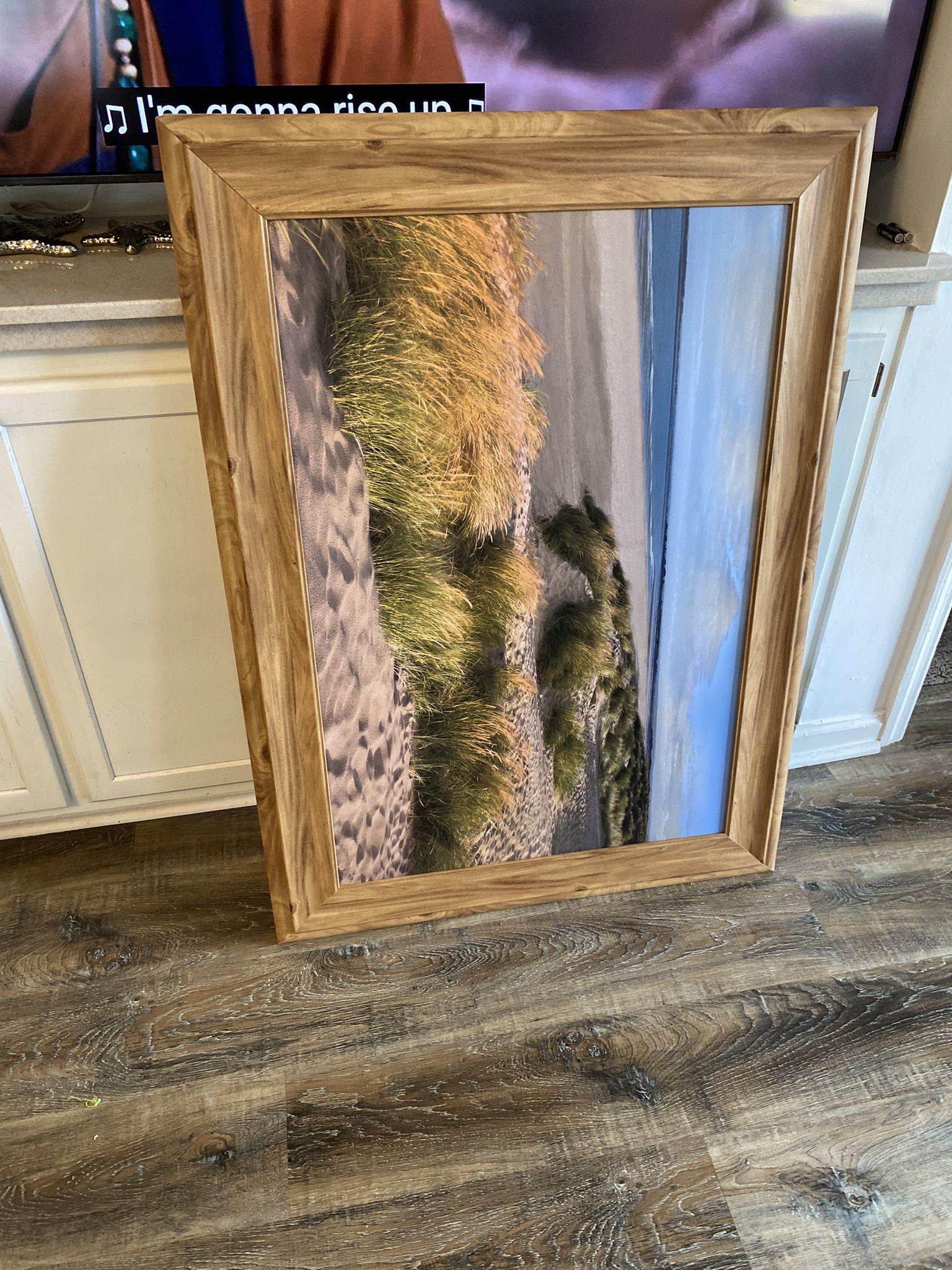 Beach Picture With Beach Grass