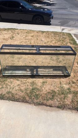 Fish tank or whatever you want for it