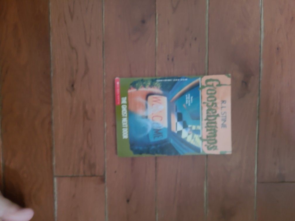 The Ghost Next Door Goosebumps Book