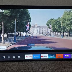 70" insignia flat screen TV