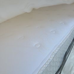 Twin Size Seallly Mattress  And Box Spring. 