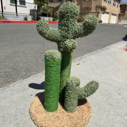 2’ Tall Desert Cactus Cat Scratching-post - With Ball!