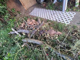 Cherry Wood ,For Sell ,BBQ,ECT..No Rot..