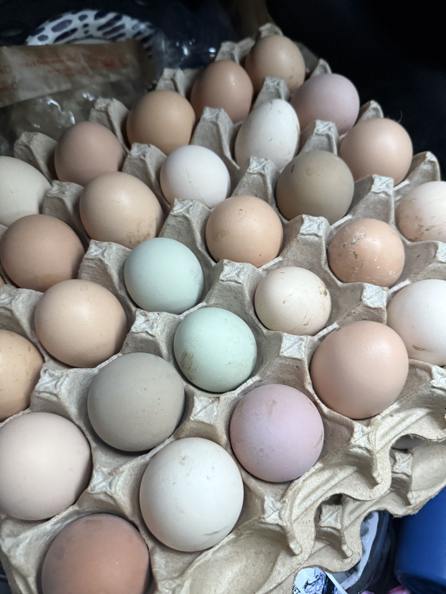 Fresh Chicken Eggs!