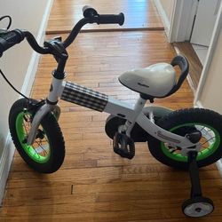 RoyalRider Kids Bike