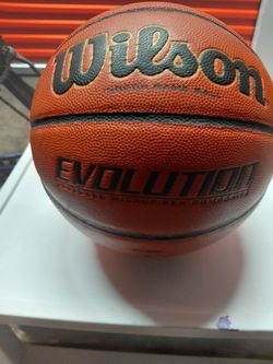 Wilson Evolution indoor gameball