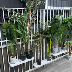 Plants, Artificial Trees Plantas 