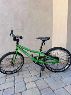 REI Bike (20inch)