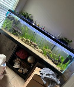 125 Gallon fish Tank and stand