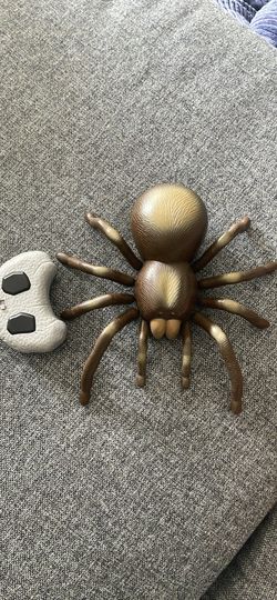 REMOTE SPIDER