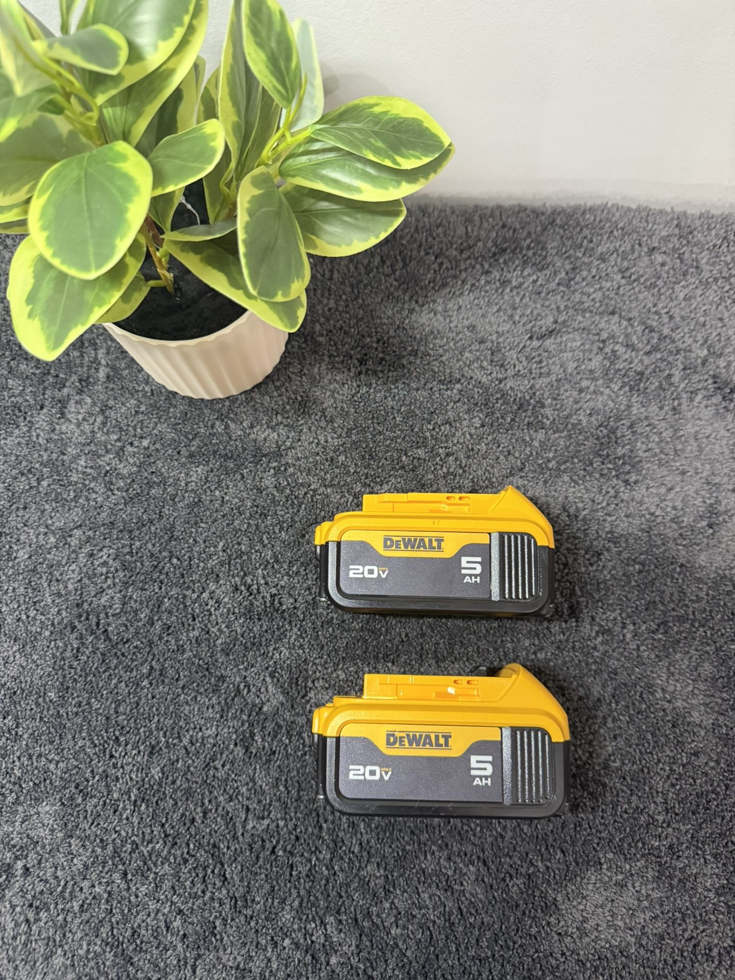 Dewalt 5ah Batteries Set Of 2