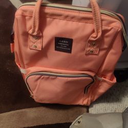 (2) Slightly Used Diaper Bags