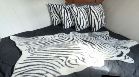 Zebra Rug and 4 Cushions