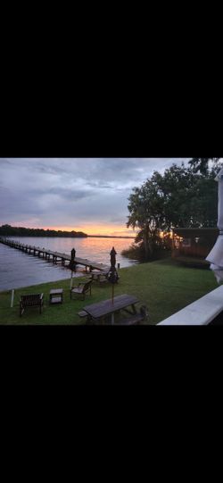 1/4  Acher Of Undeveloped, uncleared land in upstate, northern florida, georgetown 32139