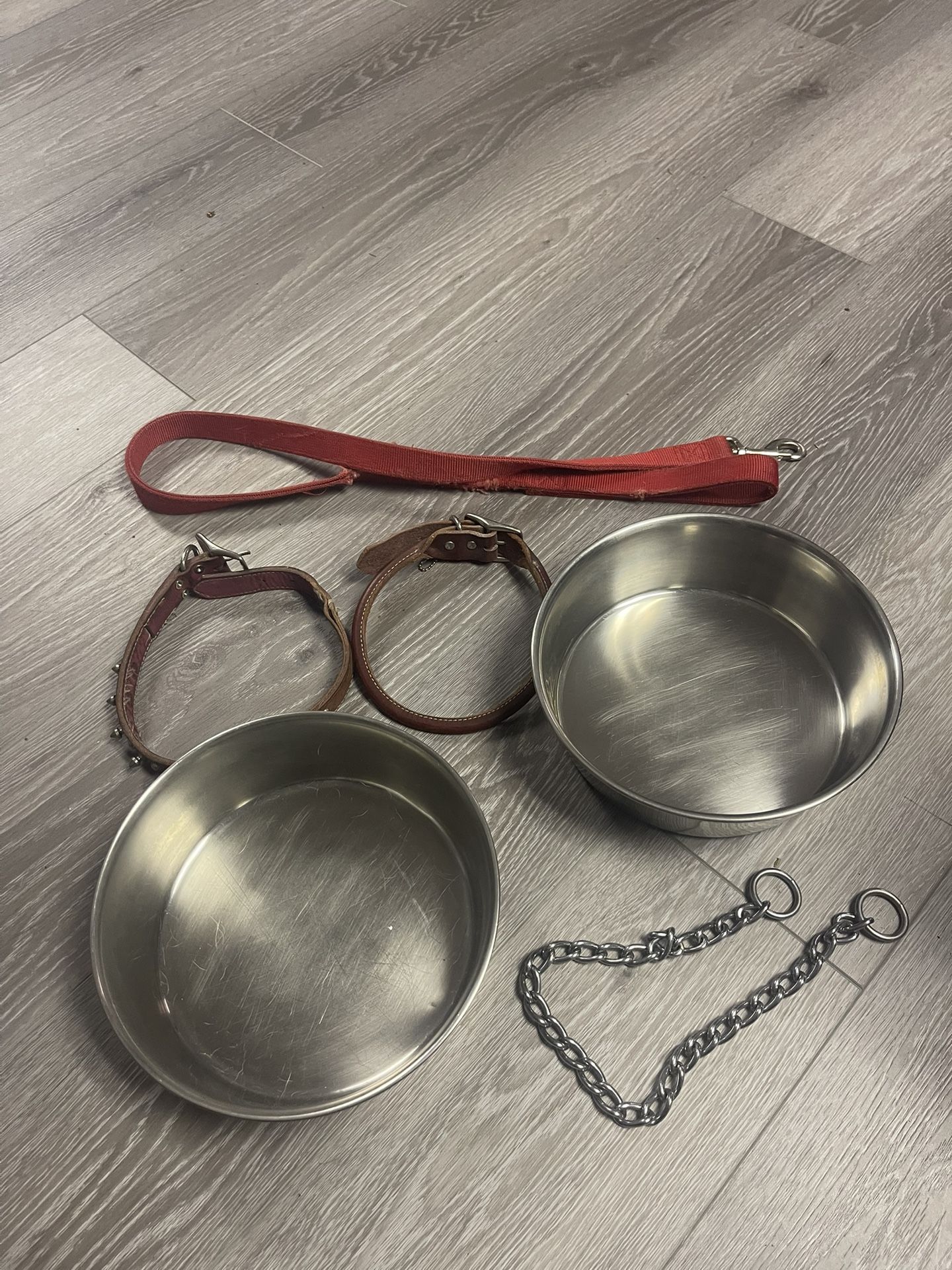 Dog Dish