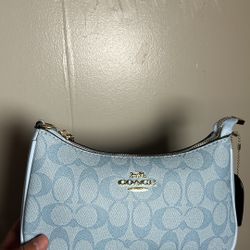 Baby Blue Coach Bag New 