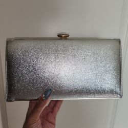 Silver Clutch Purse Berne